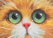 ŞİRİN KEDİCİK thumbnail 2