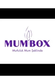 2li Bronze Burgu Şamdan Dekoratif Mum thumbnail 2