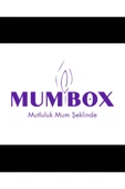 4 Adet Hera Düğüm Dekoratif Mum thumbnail 2