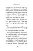Kelebek Kalbi - Muhammet Tunca thumbnail 5