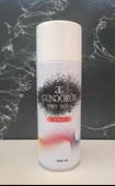GÜNGÖRÜR SPREY BOYA 400 ml - BEYAZ thumbnail 3