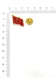 BAYRAK TEMALI ROZET (5 ADET) thumbnail 9