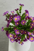 Yapay Papatya Demeti 35 Cm 5 Dal thumbnail 12