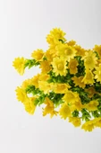 Yapay Papatya Demeti 35 Cm 5 Dal thumbnail 5