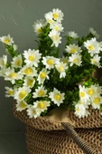 Yapay Papatya Demeti 35 Cm 5 Dal thumbnail 7