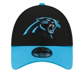 Panthers NFL 60566037 thumbnail 2