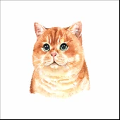 Sevimli Kedi Sticker 3 thumbnail 1