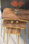 Zigon Sehpa Kr Gold Ceviz Tel thumbnail 2