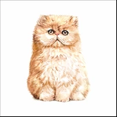 Sevimli Kedi Sticker 5 thumbnail 1