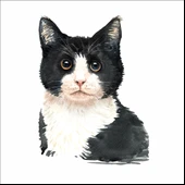 Sevimli Kedi Sticker 4 thumbnail 1