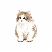 Sevimli Kedi Sticker thumbnail 1