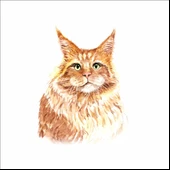 Sevimli Kedi Sticker 1 thumbnail 1