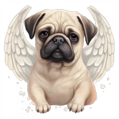 Kanatlı Pug Yavrusu Duvar Stickerı thumbnail 2