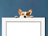 Corgi Yavrusu Duvar Stickerı thumbnail 1
