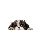 Beyaz Kaniş Duvar Stickerı thumbnail 2