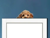 Minyatür Schnauzer Duvar Stickerı thumbnail 1