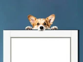 Corgi Yavrusu Duvar Stickerı thumbnail 1