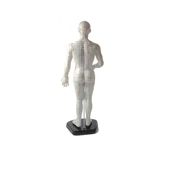 Erkek Akupunktur Maketi Model 55 thumbnail 2