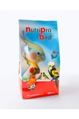 NUTRİPRO BİRD PERLE CLASİC 900 gr thumbnail 2