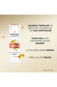 Pantene İnfinite Length Şampuan 400 ml thumbnail 3
