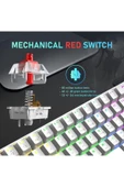 silabor RGB KLAVYE thumbnail 2