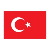 Saray Türk Bayrağı 200X300 thumbnail 1