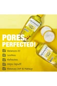 Dickinsons Witch Hazel Pore Perfecting Tonik 237ML thumbnail 5