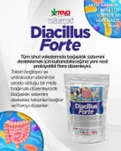 Vetasupra Diacillus Forte 500gr thumbnail 1