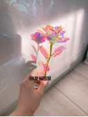 Sonsuzluk Gülü thumbnail 3
