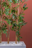 140 Cm Bambu Seperatör thumbnail 8
