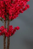 Turuncu Naturel Pampas 16 Adet thumbnail 6