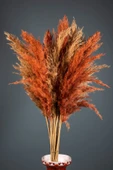 Turuncu Naturel Pampas 16 Adet thumbnail 10