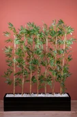 140 Cm Bambu Seperatör thumbnail 4