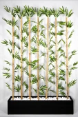 YAPAY ÇİÇEKÇİNİZ 170 Cm Bambu Seperatör thumbnail 1