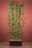 170 Cm Bambu Seperatör thumbnail 1