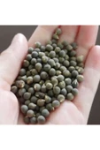 Karden Bamya Tohumu 500 Gr thumbnail 1