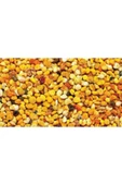 Karden Polen 100 Gr thumbnail 3