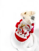 Noel Baba Ve Rudolph Kedi Tişörtü thumbnail 9