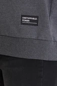 Kadın Antrasit Renk Basic Bisiklet Yaka Sweatshirt thumbnail 5