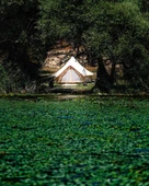 CAMPOUT BÜYÜK KAMP ÇADIRI 4 MT thumbnail 4