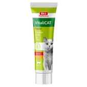 BİOPET ACTİVE VITALICAT PASTE (VİTAMİN PASTA) 100ML thumbnail 1