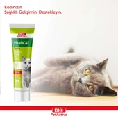 BİOPET ACTİVE VITALICAT PASTE (VİTAMİN PASTA) 100ML thumbnail 2