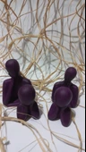 DÖRTLÜ AİLE RANDOM thumbnail 2