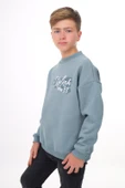 Toontoy Erkek Çocuk Baskılı Sweatshirt thumbnail 7