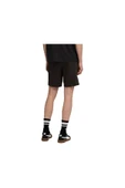 PUMA ERKEK ŞORT EVOSTRIPE SHORTS DK 68823501 thumbnail 2
