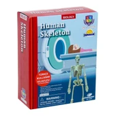 Nessiworld  Bilim Seti : İnsan İskeleti thumbnail 2