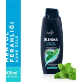 Blendax Erkek Şampuan Mentol 500 Ml thumbnail 2