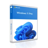MICROSOFT Windows 11 Pro thumbnail 1