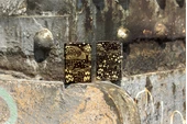 Zippo Mushrooms Dizayn Çakmak thumbnail 9
