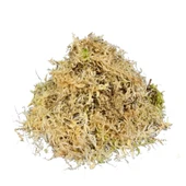 Sphagnum Yosunu 10 LT thumbnail 2